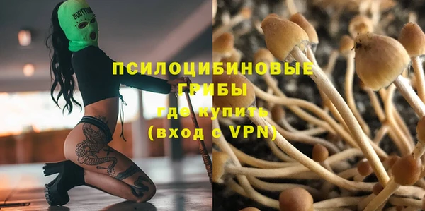стаф Алексин