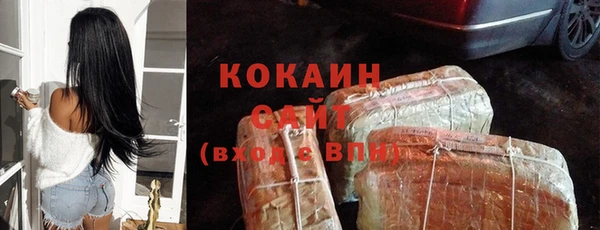 скорость Ельня